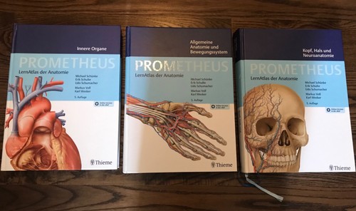 Prometheus anatomie - prometheus,
