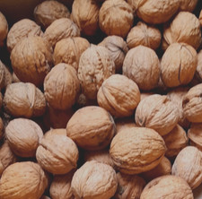 Walnüsse  10 Kg. 2025 Neue Ernte  Nüsse In der Schale  Vegan