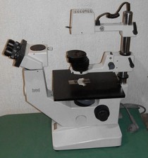 Hund Wetzlar Wilovert S mit