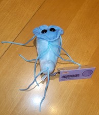 GIANT microbes Giardia lamblia