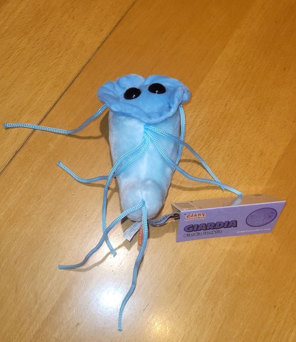 Giant microbes giardia lamblia - giant,