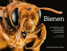 Bienen: 104 besondere Arten
