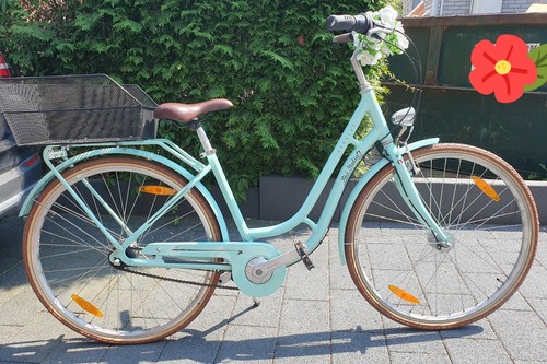 Pegasus citybike bici italia - pegasus,