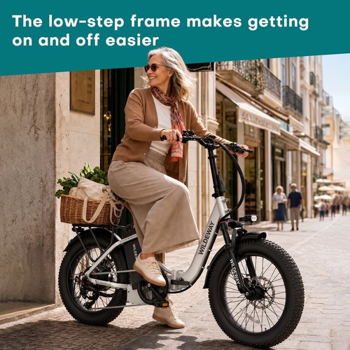 Elektrofahrrad 250w - 20",