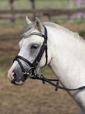 Busse Trense Little Größe