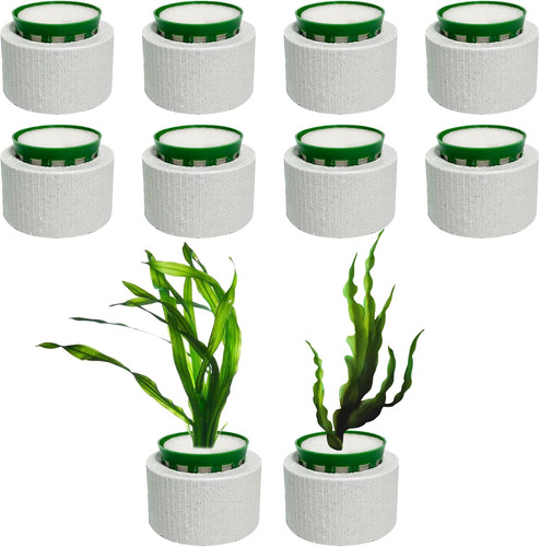 Sets wasserpflanzen fixed - 10,