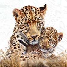 20 Servietten Leopard Mum &