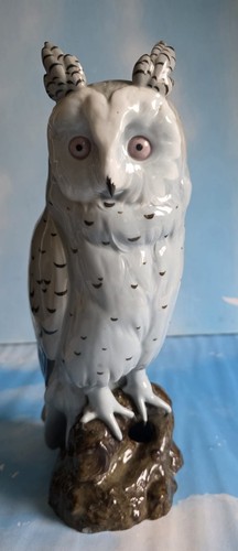 Schneeeule