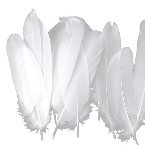 100pcs natural craft feather - 100pcs,