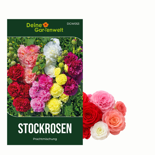 Stockrosen prachtmischung - stockrosen,