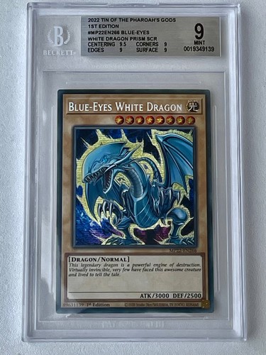 Blue eyes white - yu-gi-oh, blue-eyes