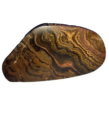 0,14Kg Stromatolith Rohstein