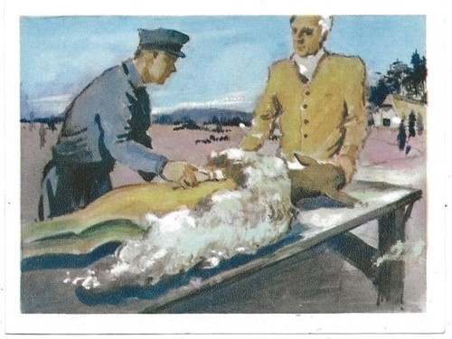 106 187 sammelbild vom - 106/187, faden