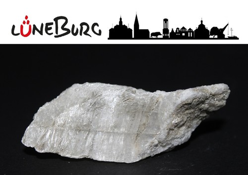 Gipskristall aus lüneburg - aus,