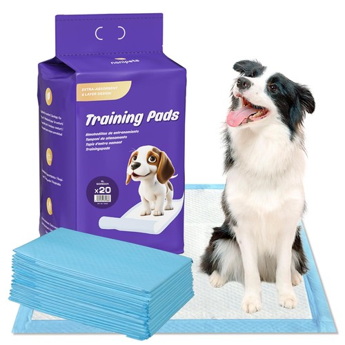 Trainingspad für hunde - für,