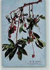 12106261 - Pflanzen aus Japan - Litchi Frucht, Gemuese