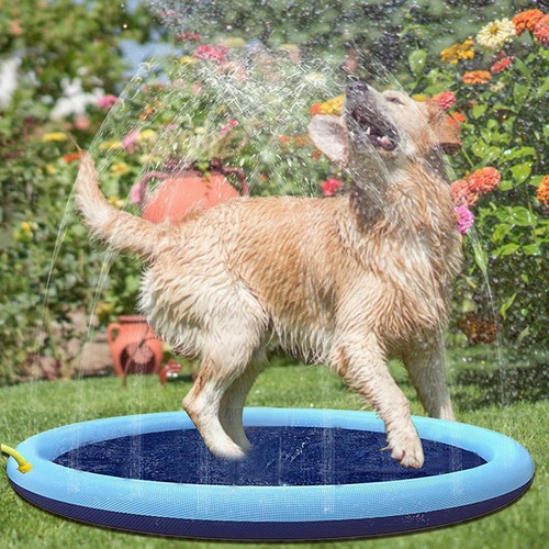 Wasserspiel matte für hunde - matte,