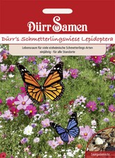 Blumenmischung Schmetterlingswiese Lepidoptera 1 kg Saatgut von Dürr-Samen