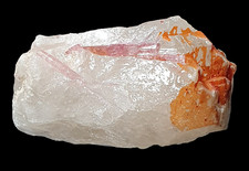 Rubellit xx Wolkenburg/Sachsen