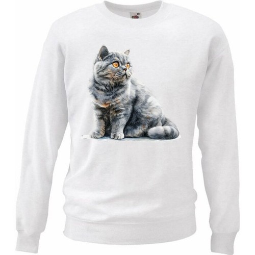 Sweatshirt sweater schottische - sweatshirt,