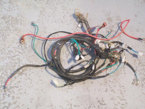 Elektroanlage für garelli - elektroanlage,