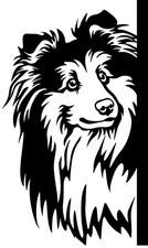 SHELTIE Aufkleber - Sheltie