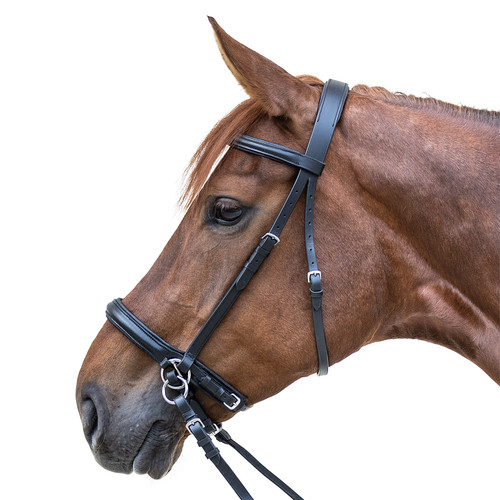 Star gebisslose trense - gebisslose,