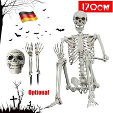 Halloween Skelett Lebensgroß 170CM Beweglich Dekoration Lehrmodell Anatomie Deko