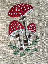 Stickbild Pilze Fliegenpilz