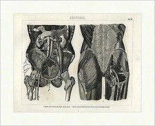 Unterleib unterer Teil des