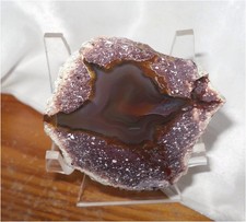 STERNACHAT IN TOLLER FARBE AUS HOHENSTEIN ERNSTTHAL IN SACHSEN!!! 2025.9.8