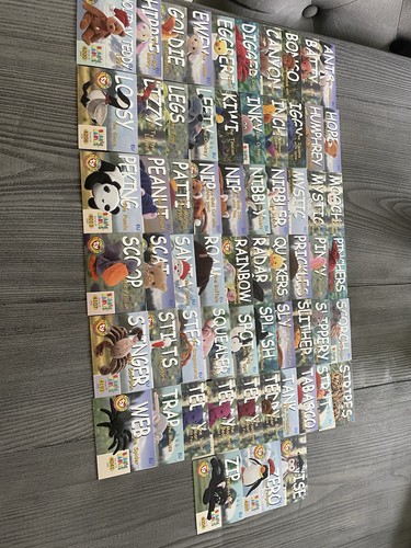 Beanie babies collectors - beanie,