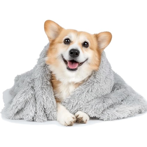 Hundedecke katze decke plüsch - katze,