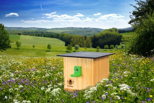 Hummelkasten hummelhaus - hummelkasten,