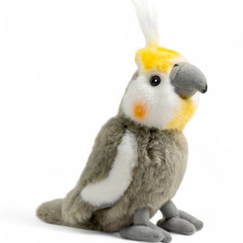 Nymphensittich vogel 18 - nymphensittich,, ca.