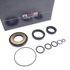 Motor Simmering Satz