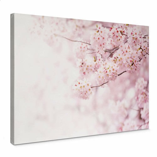 Leinwandbild zarte - leinwandbild,