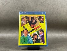 Dumb Money - Schnelles Geld -