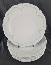 6 Porzellan Speiseteller Ø 26cm Hutschenreuther / Tirschenreuth Baronesse Nicole