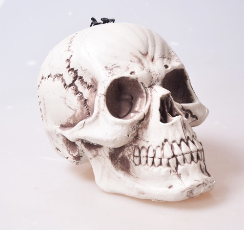 Totenschädel totenkopf - totenschädel,