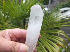 Lemuria Samen Kristall