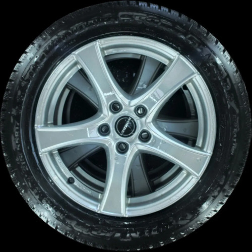 215 r17 98v winterreifen - 215/55,