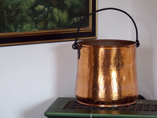 selten antik Blumen über topf