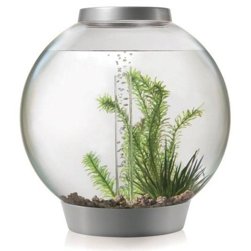 Biorb nano aquarium - biorb, nano-aquarium