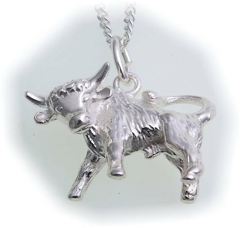 Anhänger sternzeichen stier - anhänger,