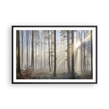 Wandbilder 91x61cm Poster Wald