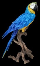Gartenfigur papagei xxl - gartenfigur, ara
