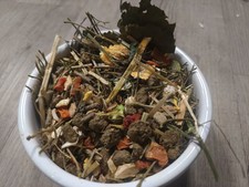 Hochwertiges Chinchilla Degus