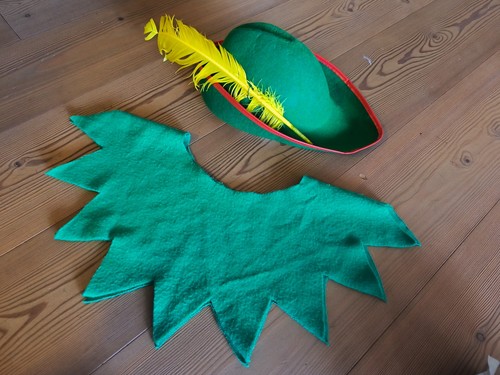 Fasching karneval set robin - set,