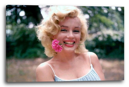Wandbild marilyn monroe - wandbild,